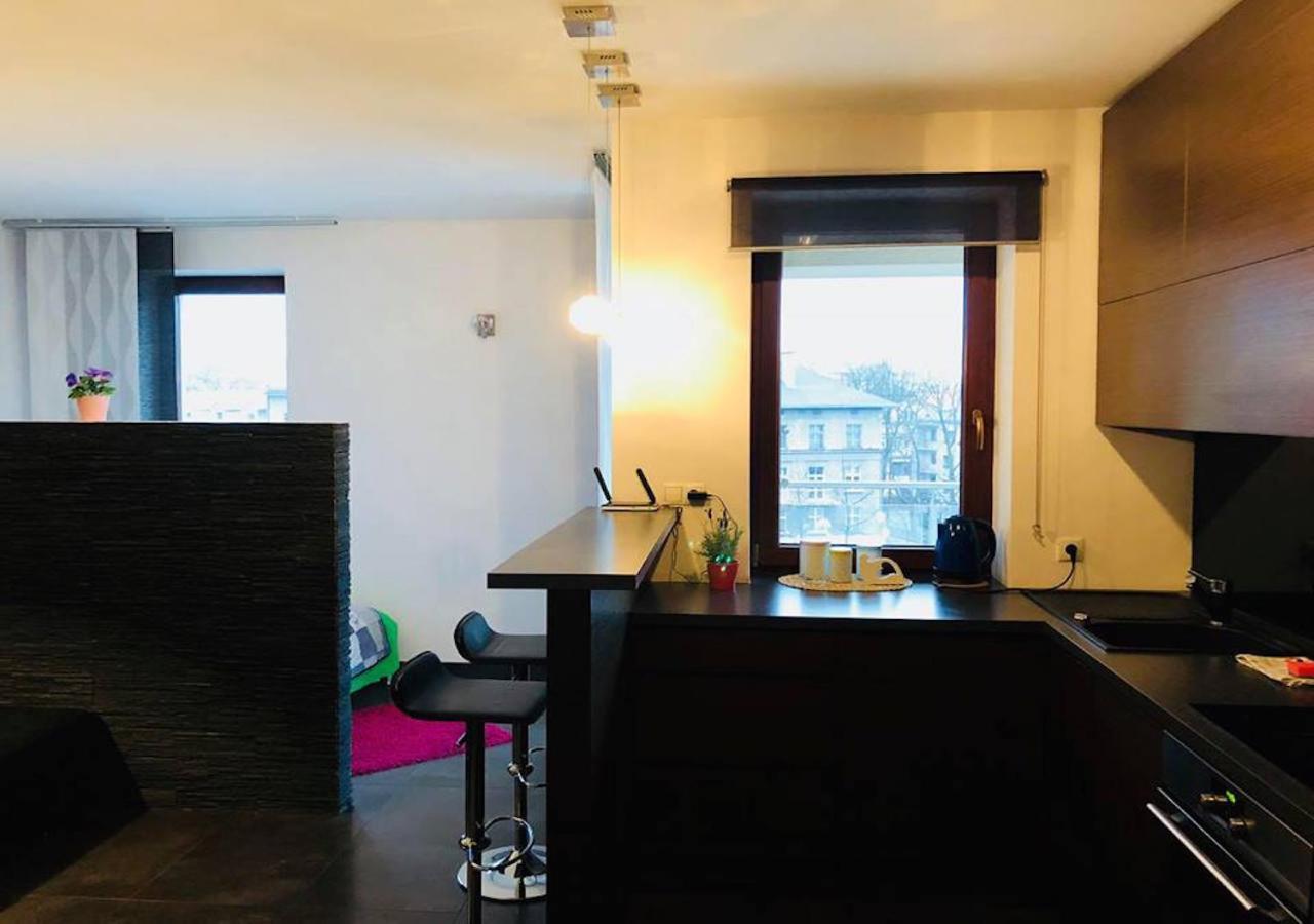 Apartament Z Widokiem Na Wawel W Centrum Miasta クラクフ エクステリア 写真